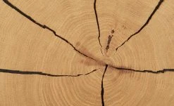 Wohnwert Standelement Novum | Anthrazit links -Kommode & Sideboards Verkäufe 11225881 3 202112101235