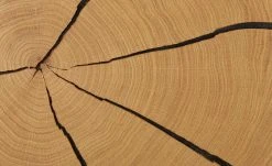 Wohnwert Standelement Novum | Weiß links -Kommode & Sideboards Verkäufe 11225883 13 202112092232