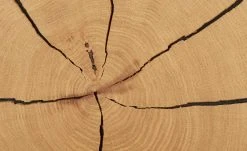 Wohnwert Standelement Novum | Weiß rechts -Kommode & Sideboards Verkäufe 11226064 1 202112092232