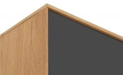 Wohnwert Standelement Novum | Anthrazit rechts -Kommode & Sideboards Verkäufe 11229273 13 202201131238