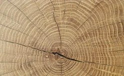 Sideboard Cortina | Weiß/ Eiche Altholz (Nachbildung) -Kommode & Sideboards Verkäufe 12203596 8 202106232232