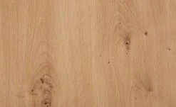 Barschrank Fiesta | Asteiche (Nachbildung) / Grau 23 Barschrank Fiesta | Asteiche (Nachbildung) / Grau -Kommode & Sideboards Verkäufe 13205965 6 202206211245