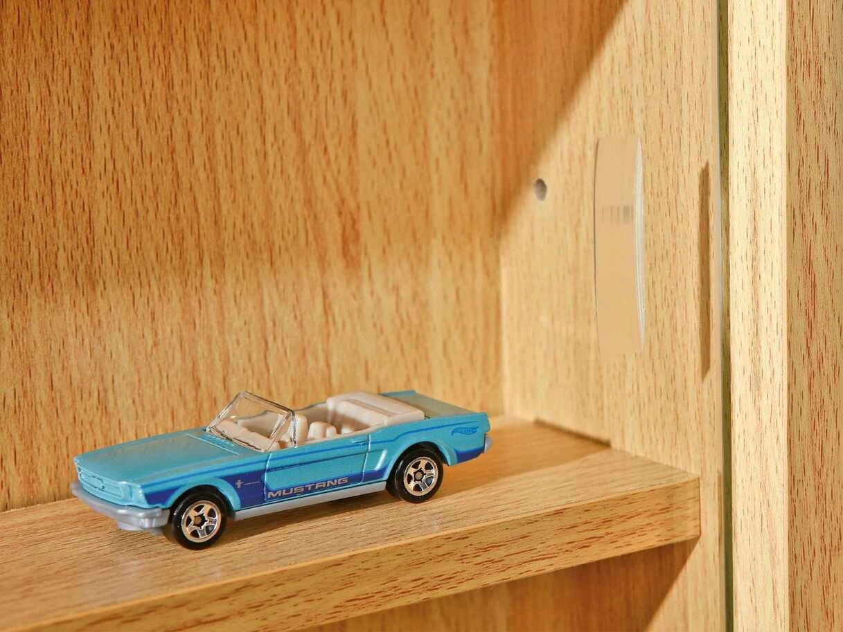 Sammler-Vitrine Acquario | Buche 4 Sammler-Vitrine Acquario | Buche – Bild 4