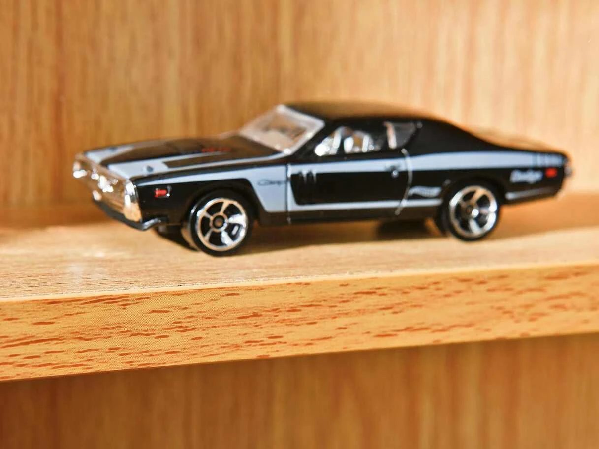 Sammler-Vitrine Acquario | Buche 7 Sammler-Vitrine Acquario | Buche – Bild 7