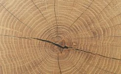 Hängevitrine Cortina | Schwarz / Eiche Altholz (Nachbildung) 31 Hängevitrine Cortina | Schwarz / Eiche Altholz (Nachbildung) -Kommode & Sideboards Verkäufe 13207052 12 202206291057