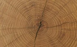 Barschrank Cortina | Eiche Altholz (Nachbildung) / Schwarz -Kommode & Sideboards Verkäufe 13207056 12 202209212234