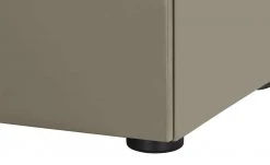 Berger & Rath Vitrine Claro | Londra (Hellgrau) Sichtbare Rückwand: Natureiche Bianco mit Glaseinlegeböden -Kommode & Sideboards Verkäufe 13232080 7 202108130002