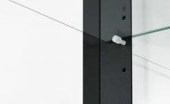 Vitrine, 2-türig Filaga | Schwarz -Kommode & Sideboards Verkäufe 13346798 6 202102102232